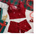 Red Lace lingerie Set