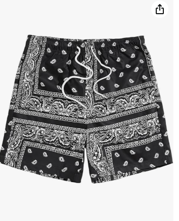 Men's Paisley Print Shorts
