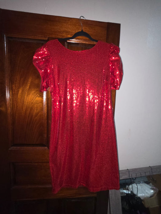 Shelby Nites Sequin Dress