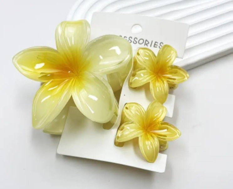 Floral Hair Clip Set